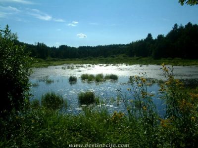 Jezero u perivoju dvorca